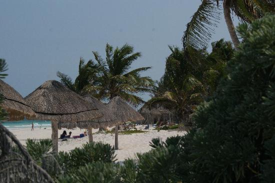 My Tulum Cabanas ภายนอก รูปภาพ